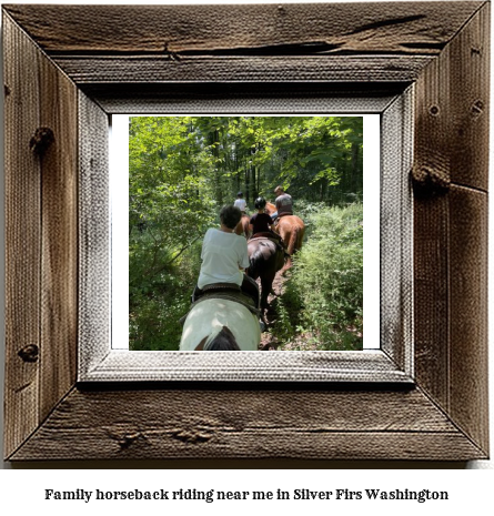 family horseback riding near me in Silver Firs, Washington